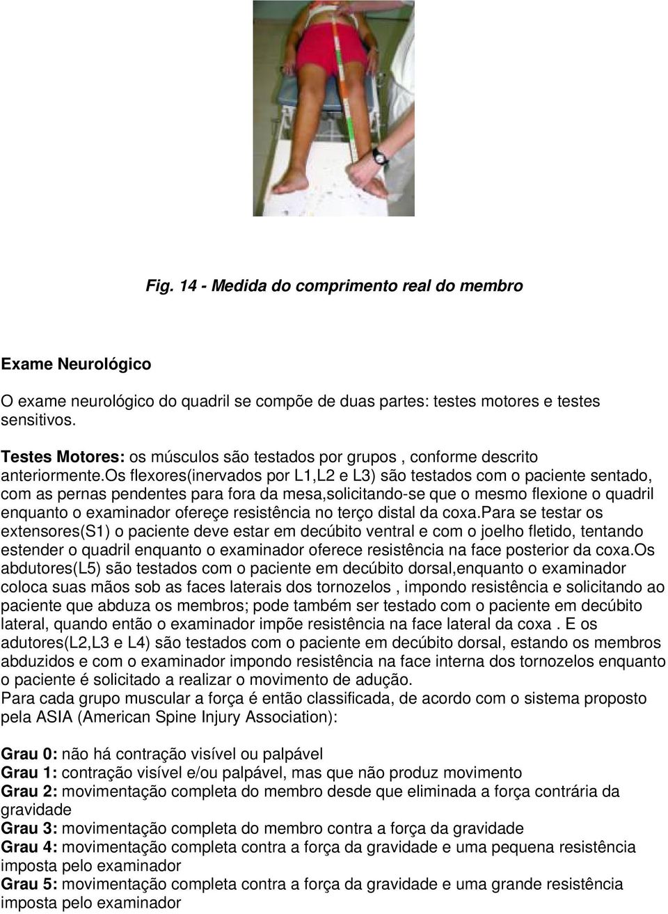 os flexores(inervados por L1,L2 e L3) são testados com o paciente sentado, com as pernas pendentes para fora da mesa,solicitando-se que o mesmo flexione o quadril enquanto o examinador ofereçe