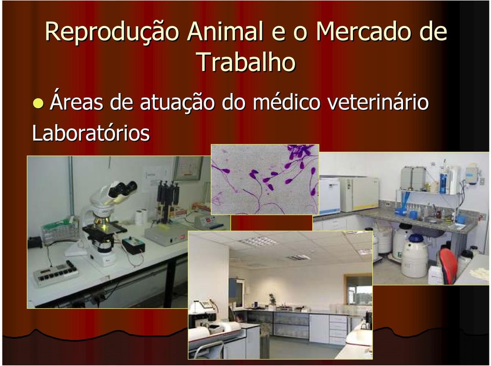 de atuação do médico m