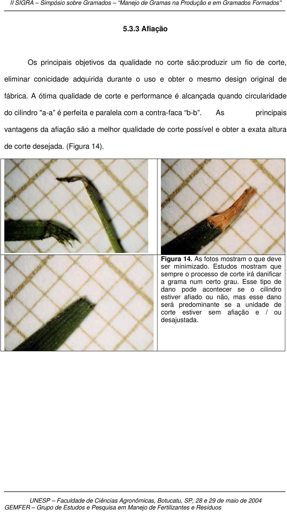 As principais vantagens da afiação são a melhor qualidade de corte possível e obter a exata altura de corte desejada. (Figura 14). Figura 14. As fotos mostram o que deve ser minimizado.