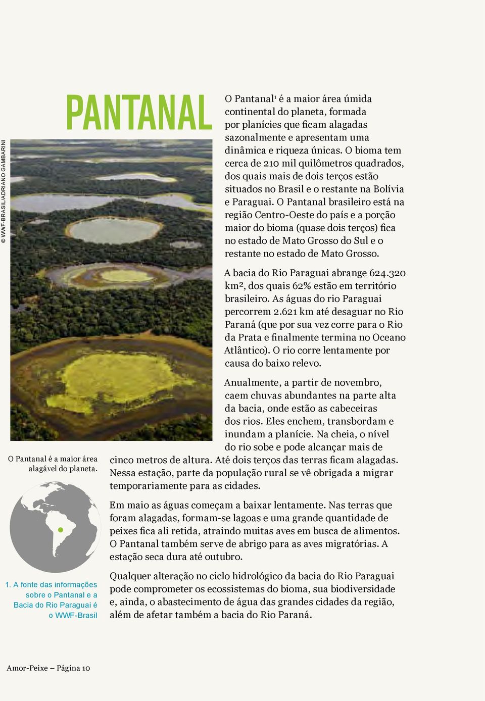 O Pantanal brasileiro está na região Centro-Oeste do país e a porção maior do bioma (quase dois terços) fica no estado de Mato Grosso do Sul e o restante no estado de Mato Grosso.