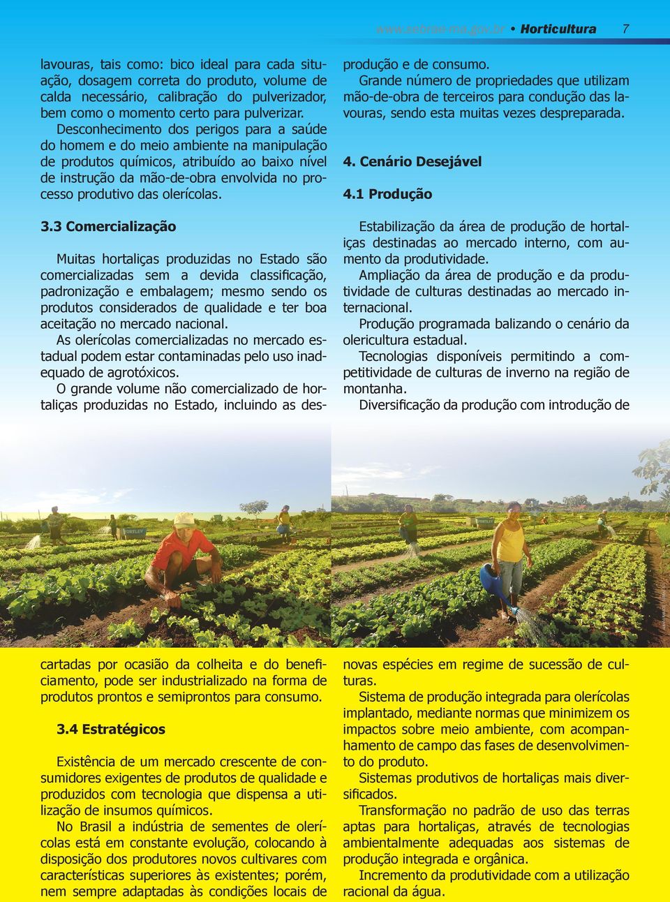 Desconhecimento dos perigos para a saúde do homem e do meio ambiente na manipulação de produtos químicos, atribuído ao baixo nível de instrução da mão-de-obra envolvida no processo produtivo das