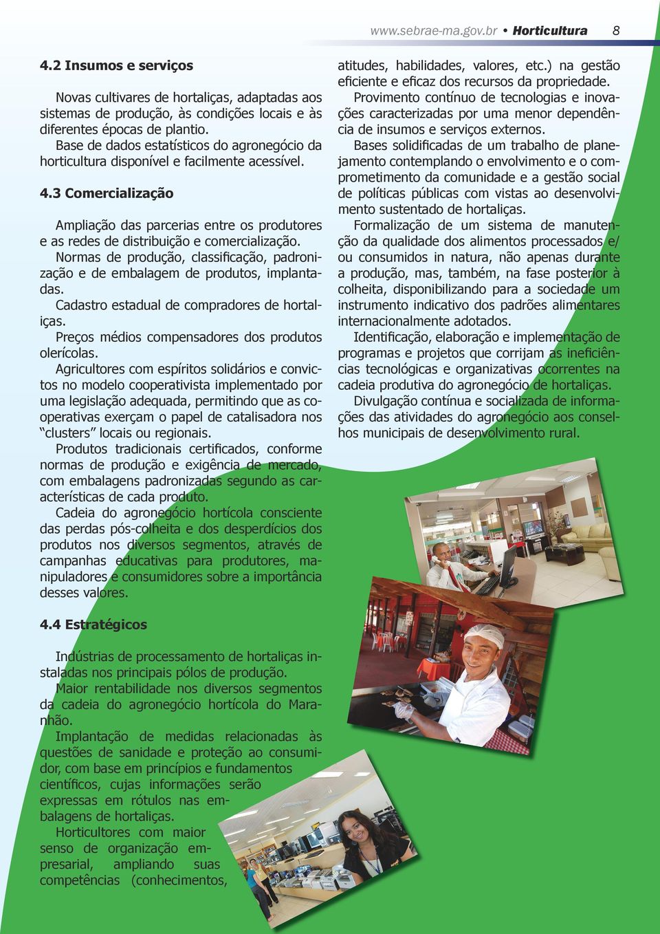 3 Comercialização Ampliação das parcerias entre os produtores e as redes de distribuição e comercialização. Normas de produção, classificação, padronização e de embalagem de produtos, implantadas.