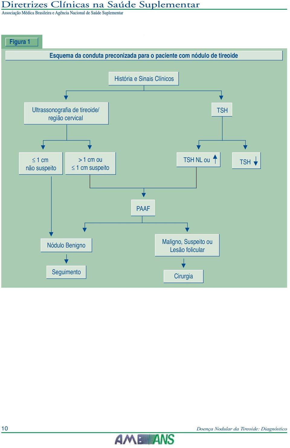 não suspeito > 1 cm ou 1 cm suspeito TSH NL ou TSH PAAF Nódulo Benigno Maligno,