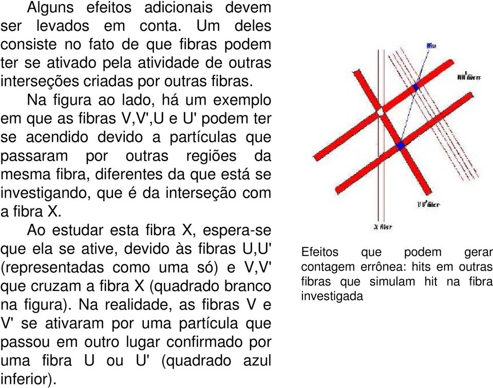 da interseção com a fibra X. Ao estudar esta fibra X, espera se que ela se ative, devido às fibras U,U' (representadas como uma só) e V,V' que cruzam a fibra X (quadrado branco na figura).