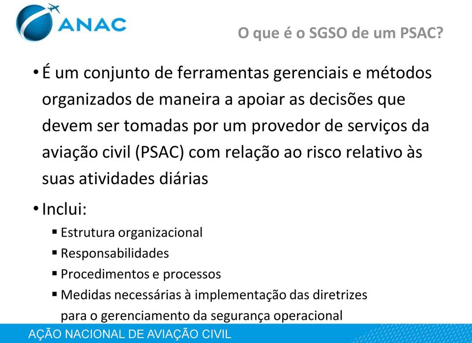 ser tomadas por um provedor de serviços da aviação civil (PSAC) com relação ao risco relativo às suas