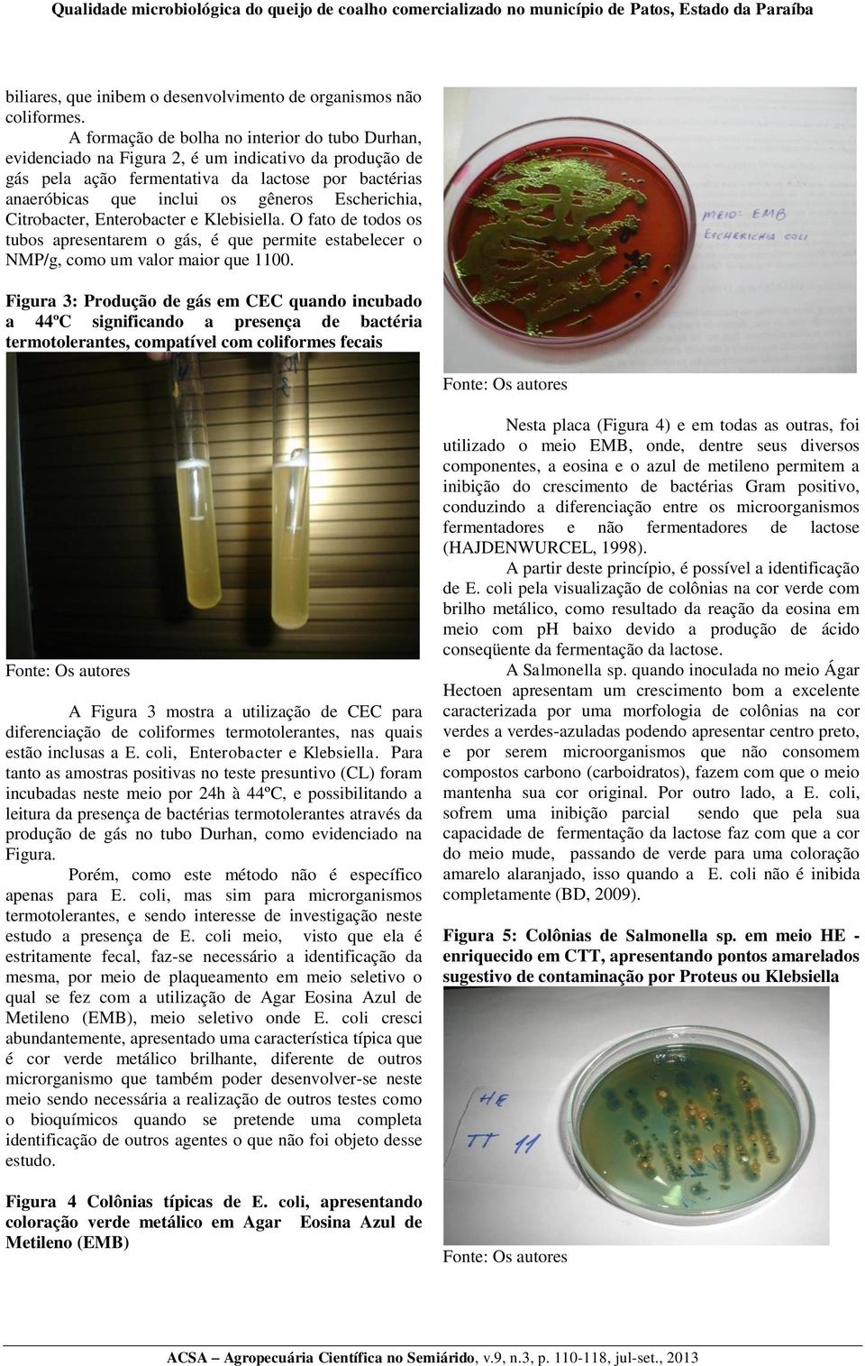 Escherichia, Citrobacter, Enterobacter e Klebisiella. O fato de todos os tubos apresentarem o gás, é que permite estabelecer o NMP/g, como um valor maior que 1100.