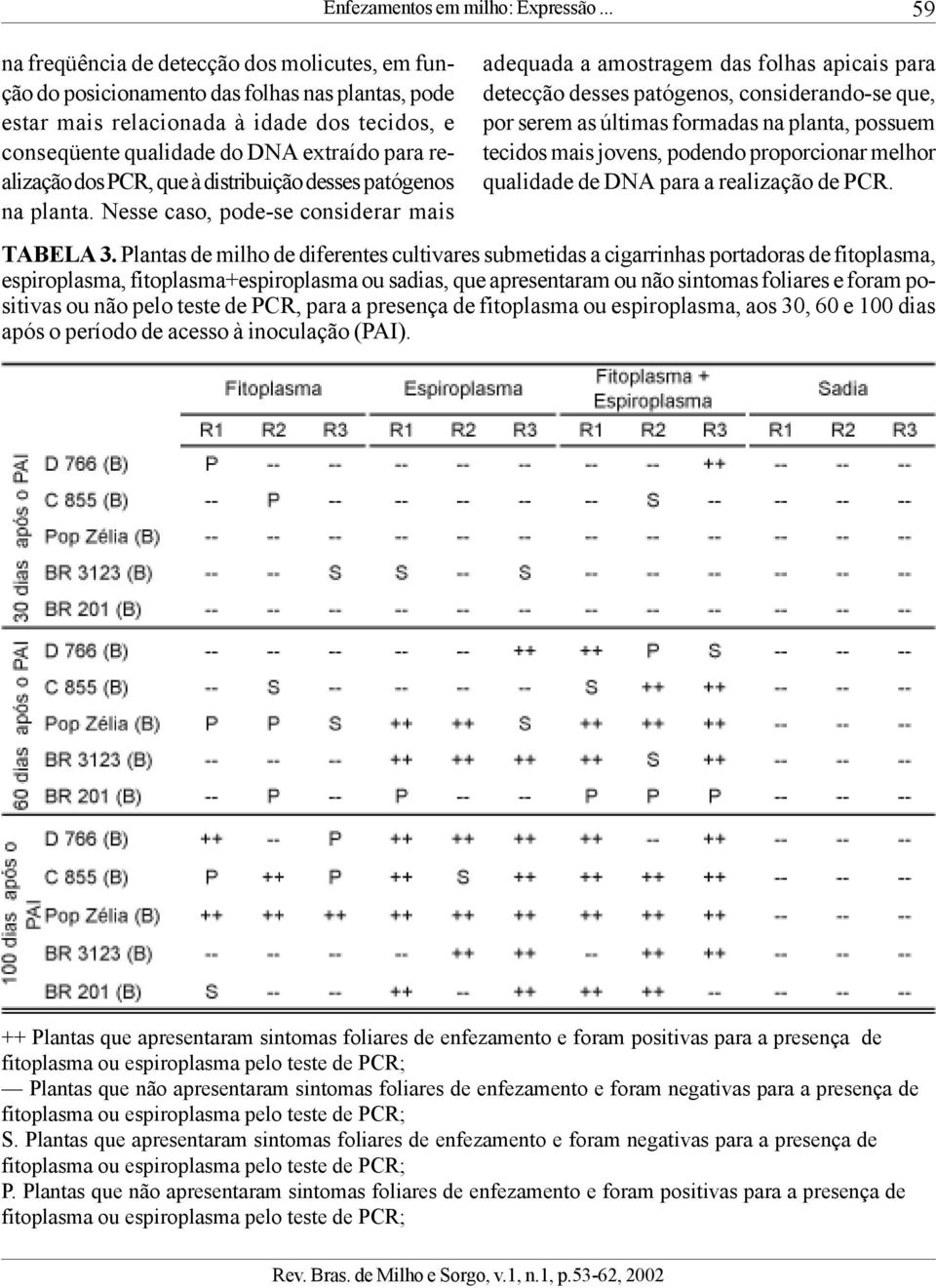 realização dos PCR, que à distribuição desses patógenos na planta.