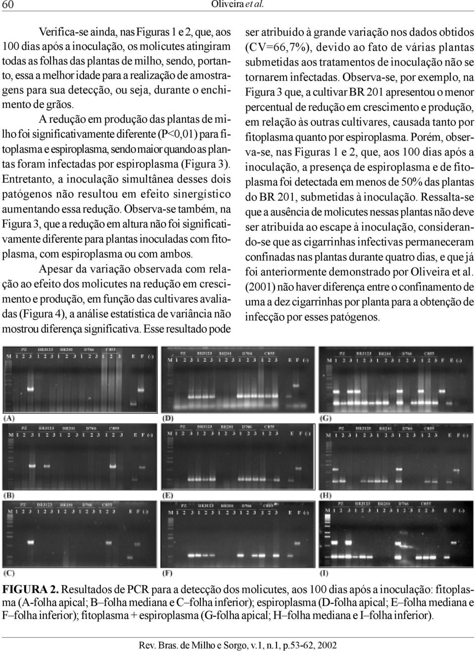 amostragens para sua detecção, ou seja, durante o enchimento de grãos.