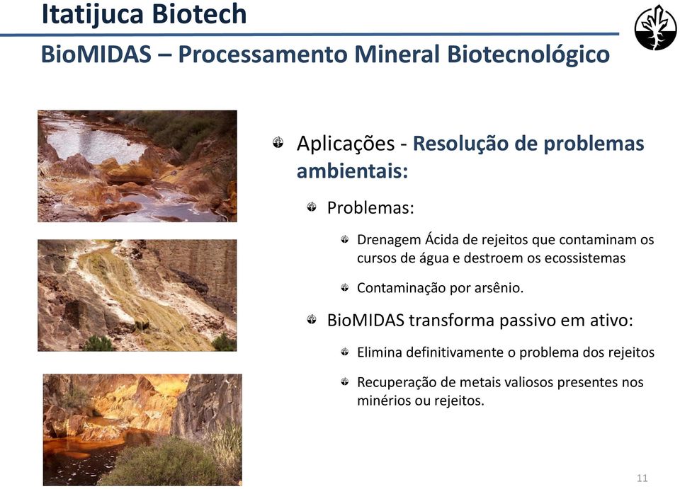 ecossistemas Contaminação por arsênio.