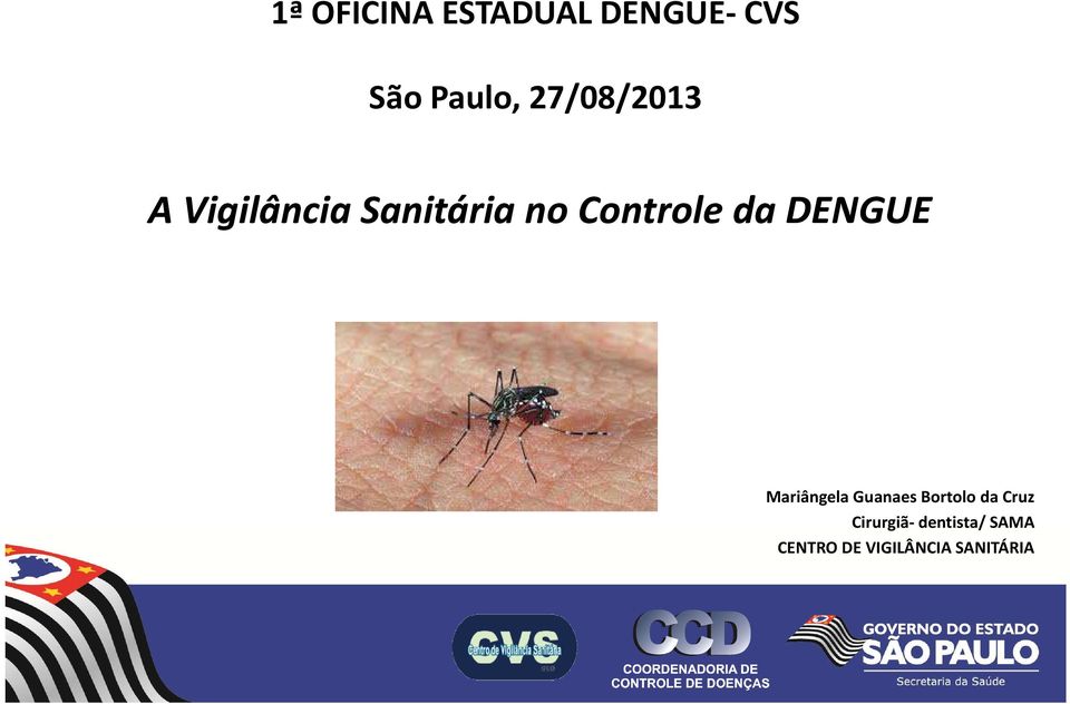 da DENGUE Mariângela Guanaes Bortolo da Cruz