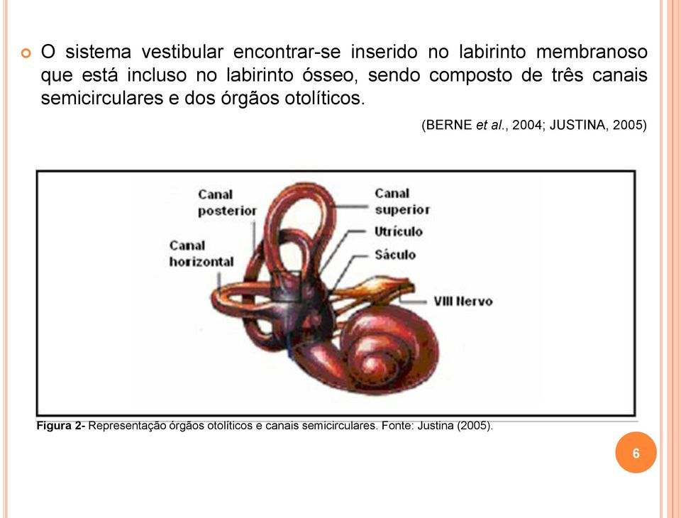 dos órgãos otolíticos. (BERNE et al.