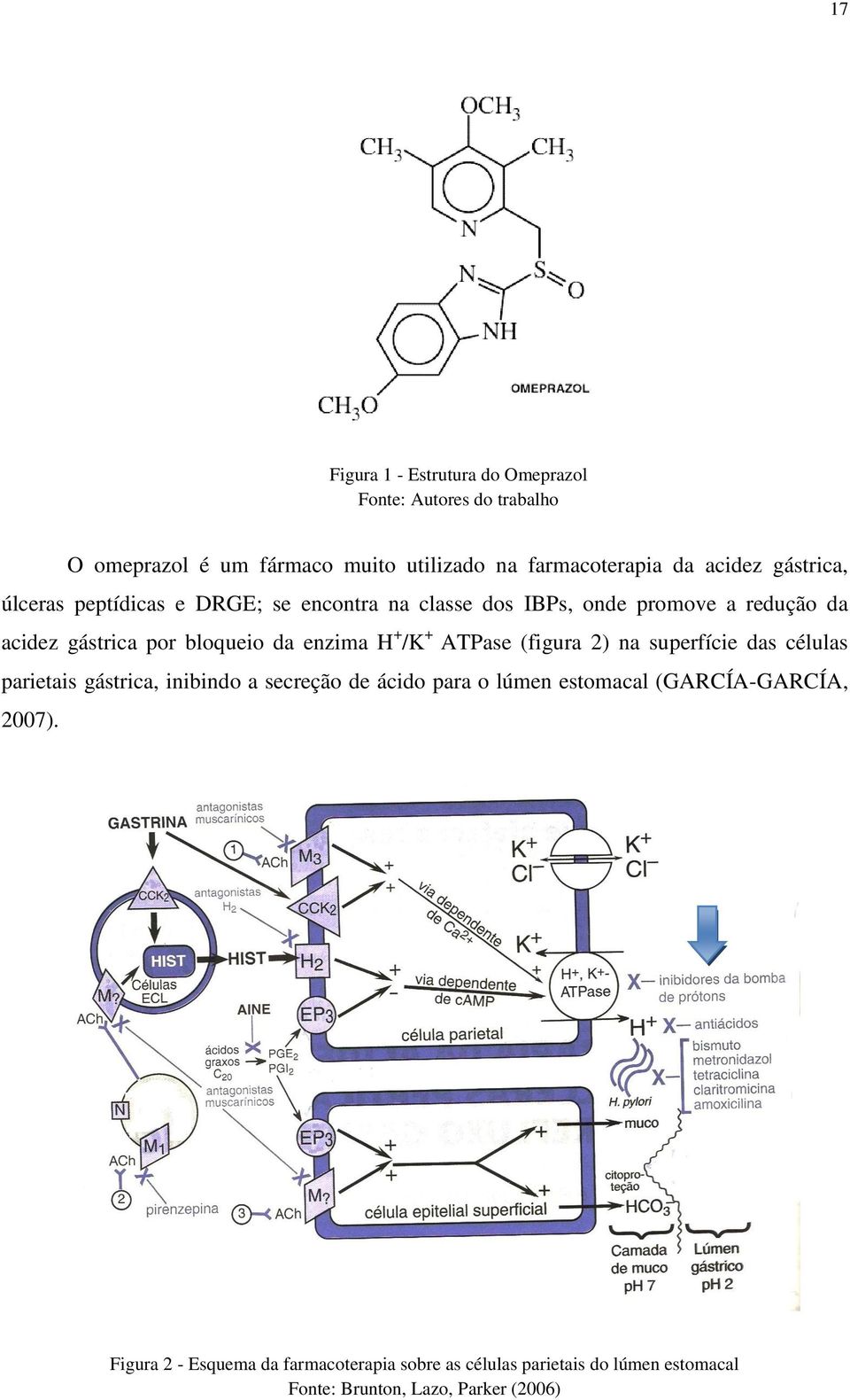 H + /K + ATPase (figura 2) na superfície das células parietais gástrica, inibindo a secreção de ácido para o lúmen estomacal