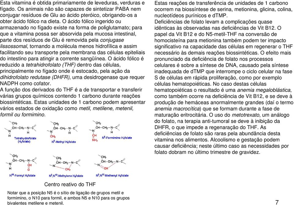 O ácido fólico ingerido ou armazenado no fígado existe na forma de poliglutamato; para que a vitamina possa ser absorvida pela mucosa intestinal, parte dos resíduos de Glu é removida pela conjugase