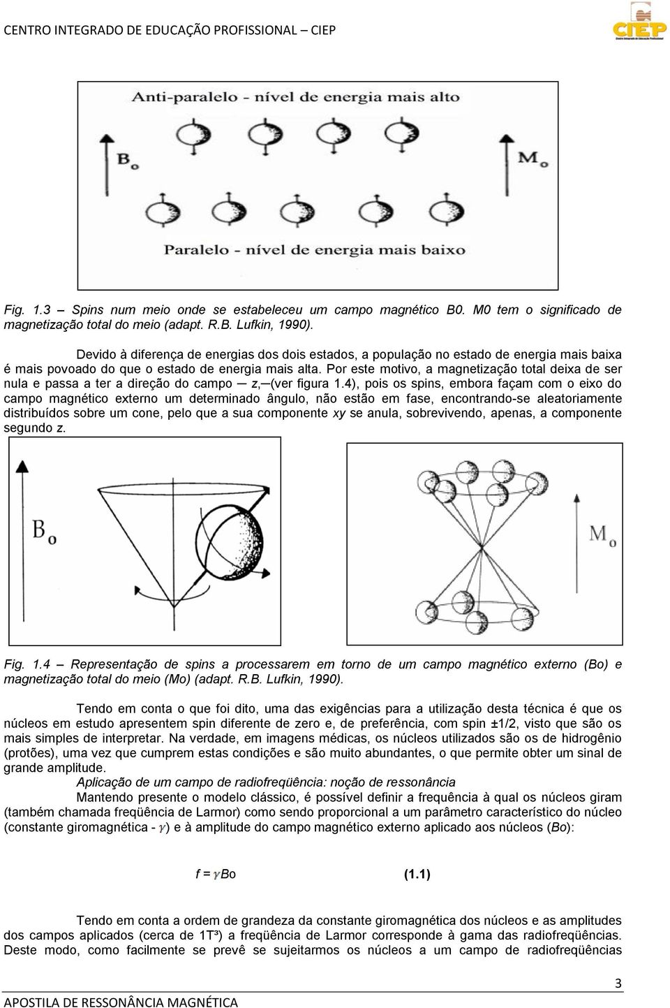 Por este motivo, a magnetização total deixa de ser nula e passa a ter a direção do campo z, (ver figura 1.