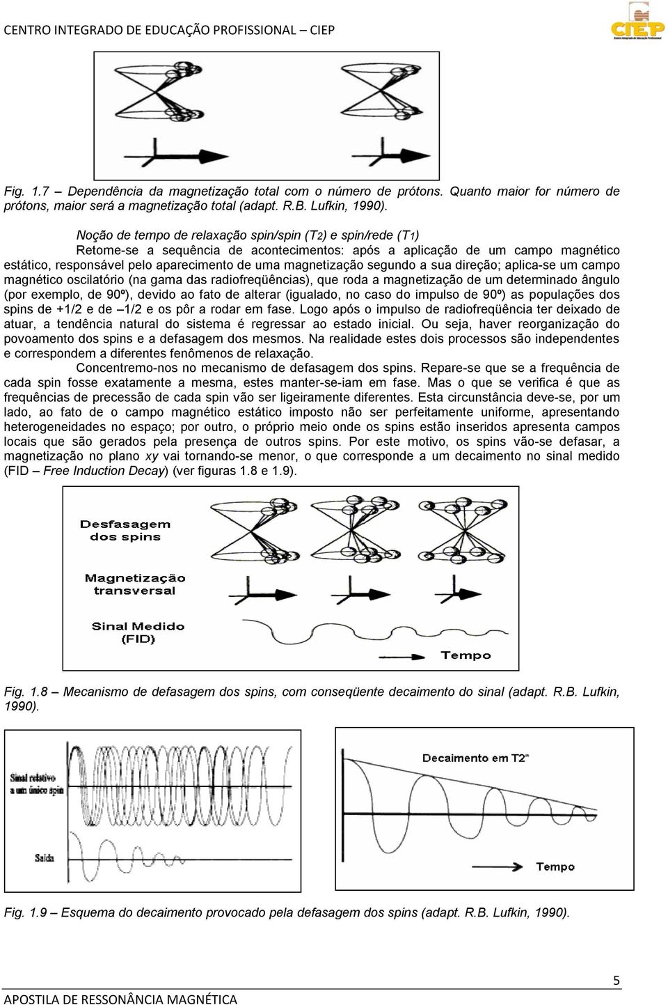 segundo a sua direção; aplica-se um campo magnético oscilatório (na gama das radiofreqüências), que roda a magnetização de um determinado ângulo (por exemplo, de 90º), devido ao fato de alterar