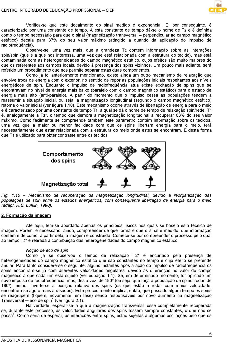 máximo (atingido a quando da aplicação do impulso de radiofreqüência).