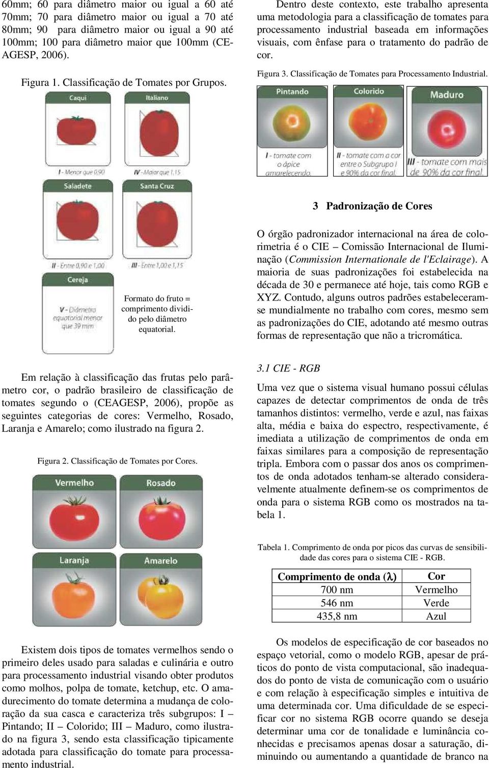 Dentro deste contexto, este trabalho apresenta uma metodologia para a classificação de tomates para processamento industrial baseada em informações visuais, com ênfase para o tratamento do padrão de