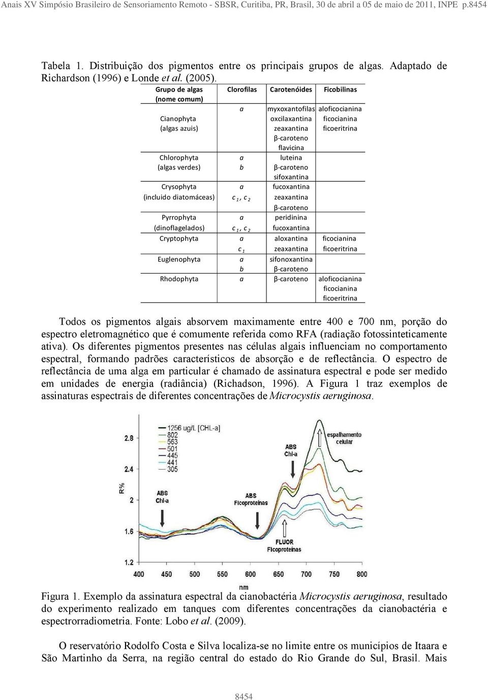 Grupo de algas Clorofilas Carotenóides Ficobilinas (nome comum) a myxoxantofilas aloficocianina Cianophyta oxcilaxantina ficocianina (algas azuis) zeaxantina ficoeritrina β-caroteno flavicina