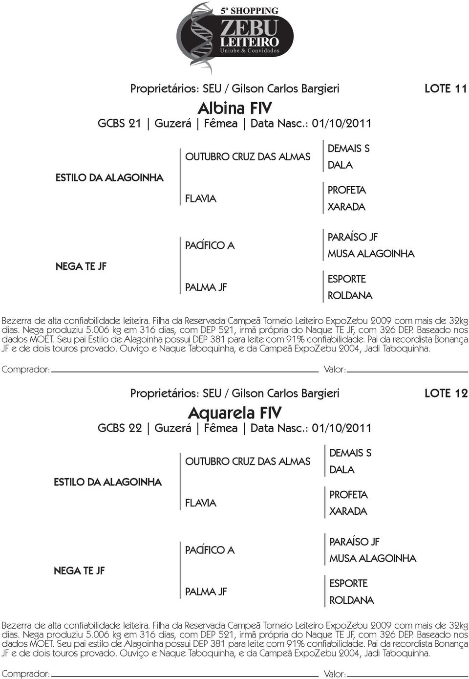 confiabilidade leiteira. Filha da Reservada Campeã Torneio Leiteiro ExpoZebu 2009 com mais de 32kg dias. Nega produziu 5.006 kg em 316 dias, com DEP 521, irmã própria do Naque TE JF, com 326 DEP.