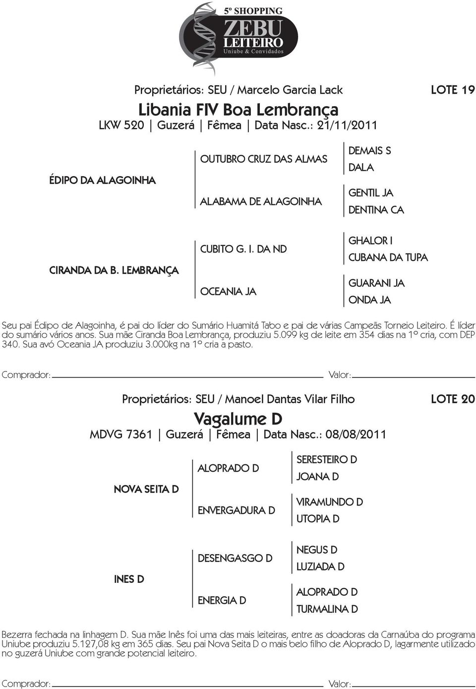 DA ND OCEANIA JA DEMAIS S DALA GENTIL JA DENTINA CA GHALOR I CUBANA DA TUPA GUARANI JA ONDA JA Seu pai Édipo de Alagoinha, é pai do líder do Sumário Huamitá Tabo e pai de várias Campeãs Torneio