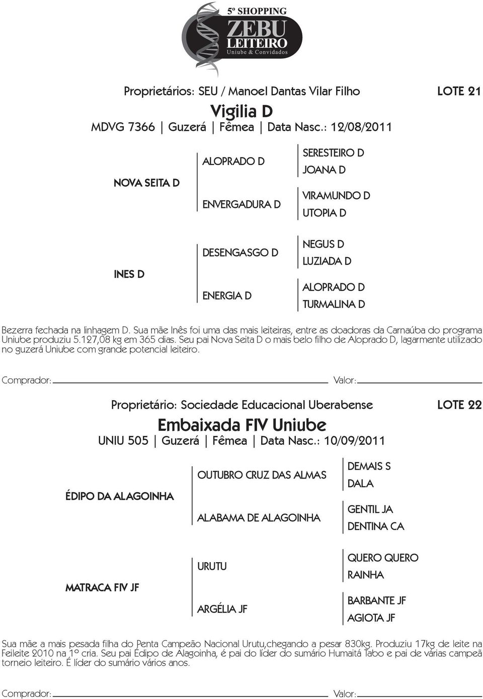 D. Sua mãe Inês foi uma das mais leiteiras, entre as doadoras da Carnaúba do programa Uniube produziu 5.127,08 kg em 365 dias.