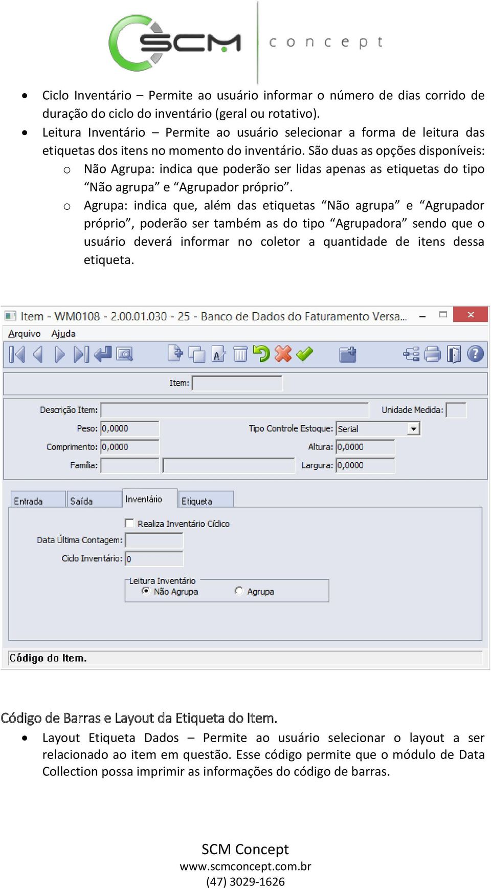 São duas as opções disponíveis: o Não Agrupa: indica que poderão ser lidas apenas as etiquetas do tipo Não agrupa e Agrupador próprio.