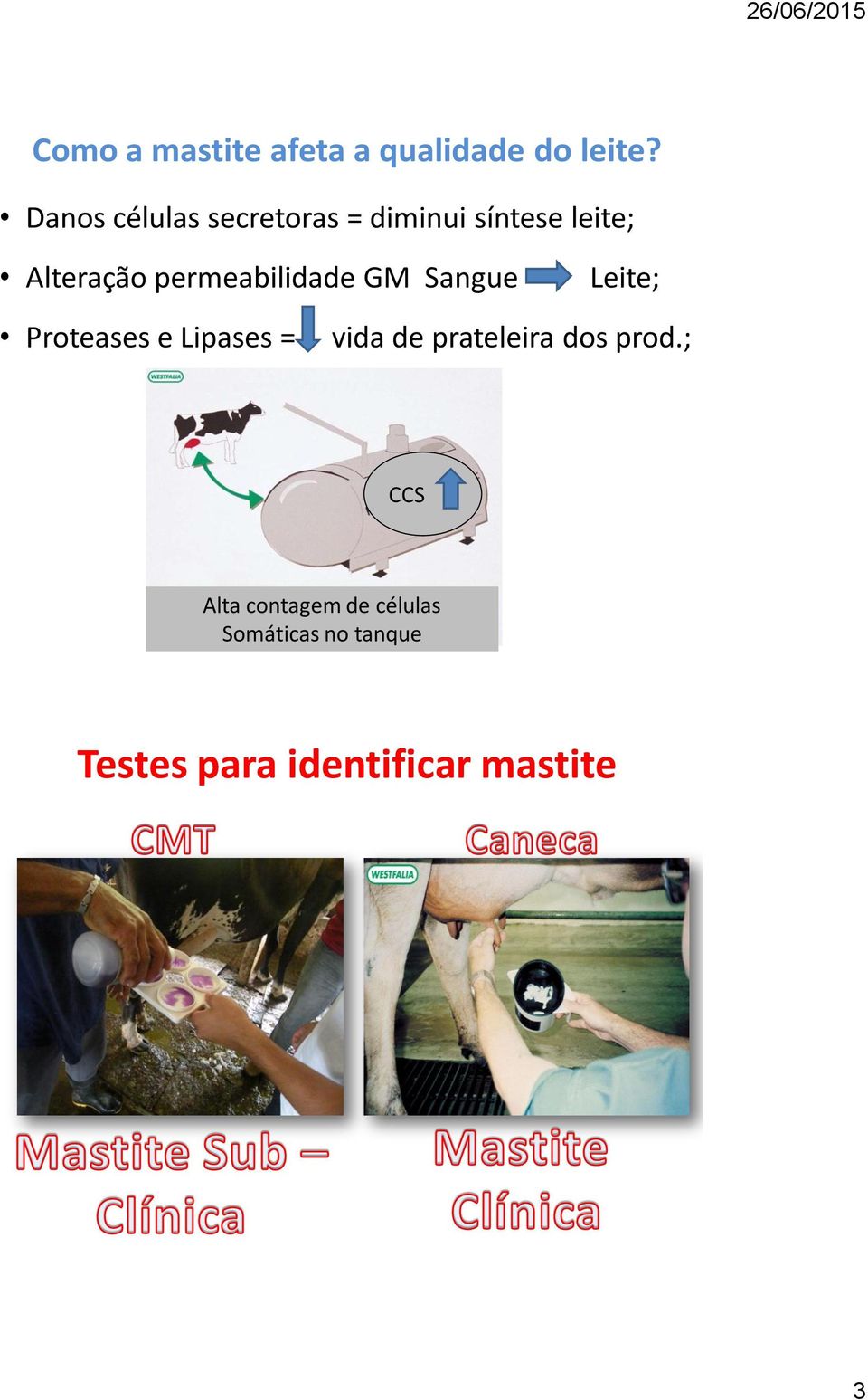 permeabilidade GM Sangue Leite; Proteases e Lipases = vida de