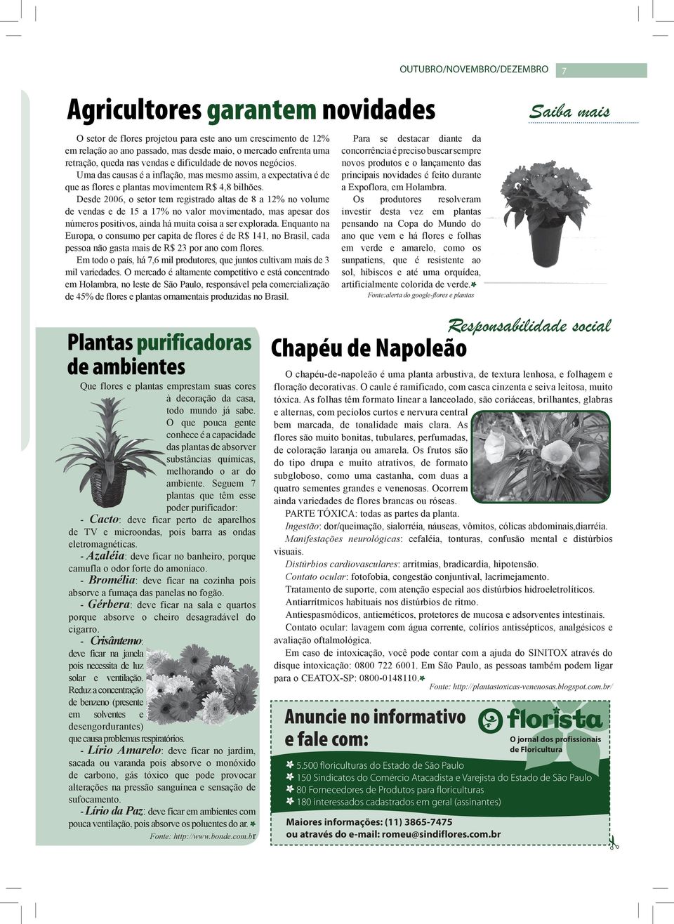 Desde 2006, o setor tem registrado altas de 8 a 12% no volume de vendas e de 15 a 17% no valor movimentado, mas apesar dos números positivos, ainda há muita coisa a ser explorada.