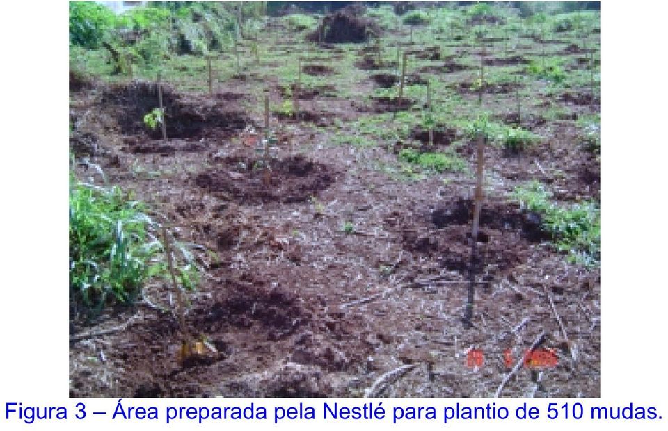 Nestlé para