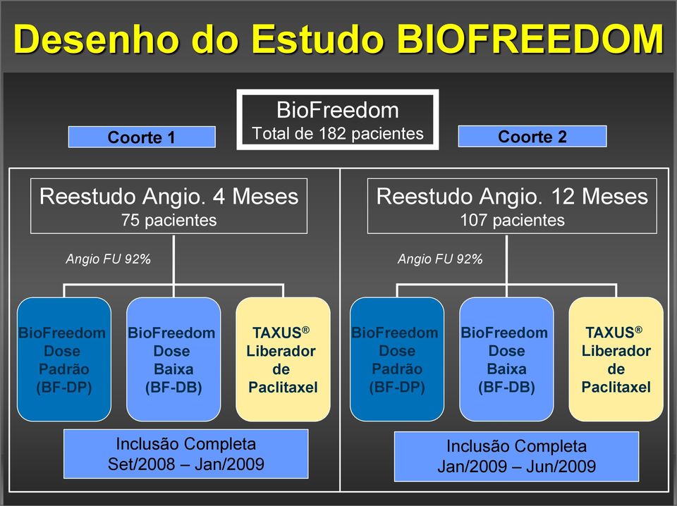 12 Meses 107 pacientes Angio FU 92% Angio FU 92% BioFreedom Dose Padrão (BF-DP) BioFreedom Dose Baixa