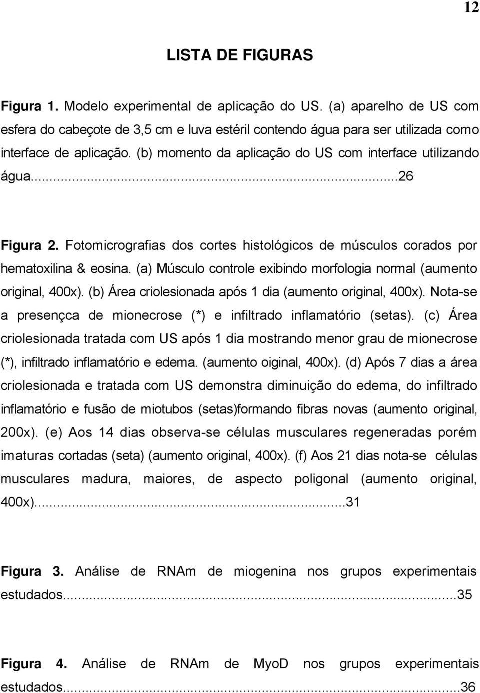 (a) Músculo controle exibindo morfologia normal (aumento original, 400x). (b) Área criolesionada após 1 dia (aumento original, 400x).