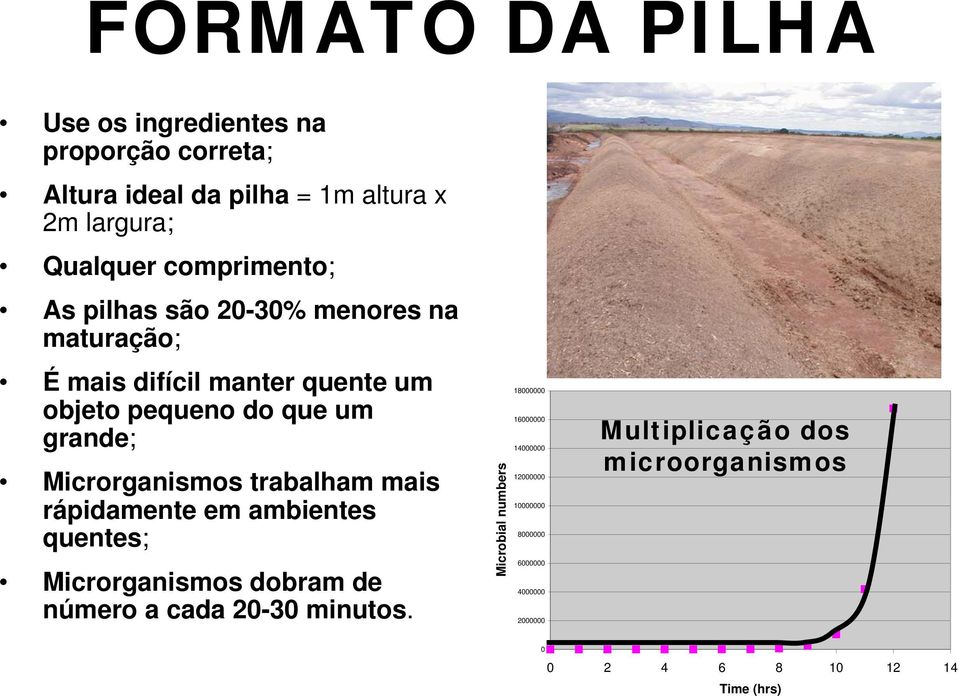 trabalham mais rápidamente em ambientes quentes; Microrganismos dobram de número a cada 20-30 minutos.