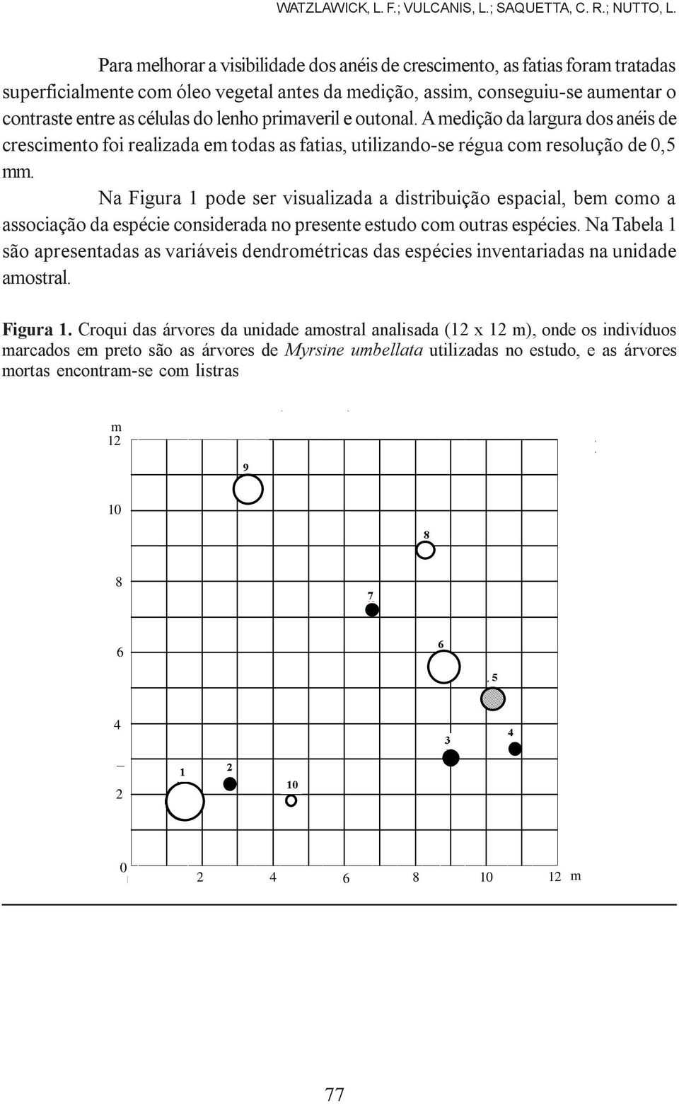 primaveril e outonal. A medição da largura dos anéis de crescimento foi realizada em todas as fatias, utilizando-se régua com resolução de 0,5 mm.