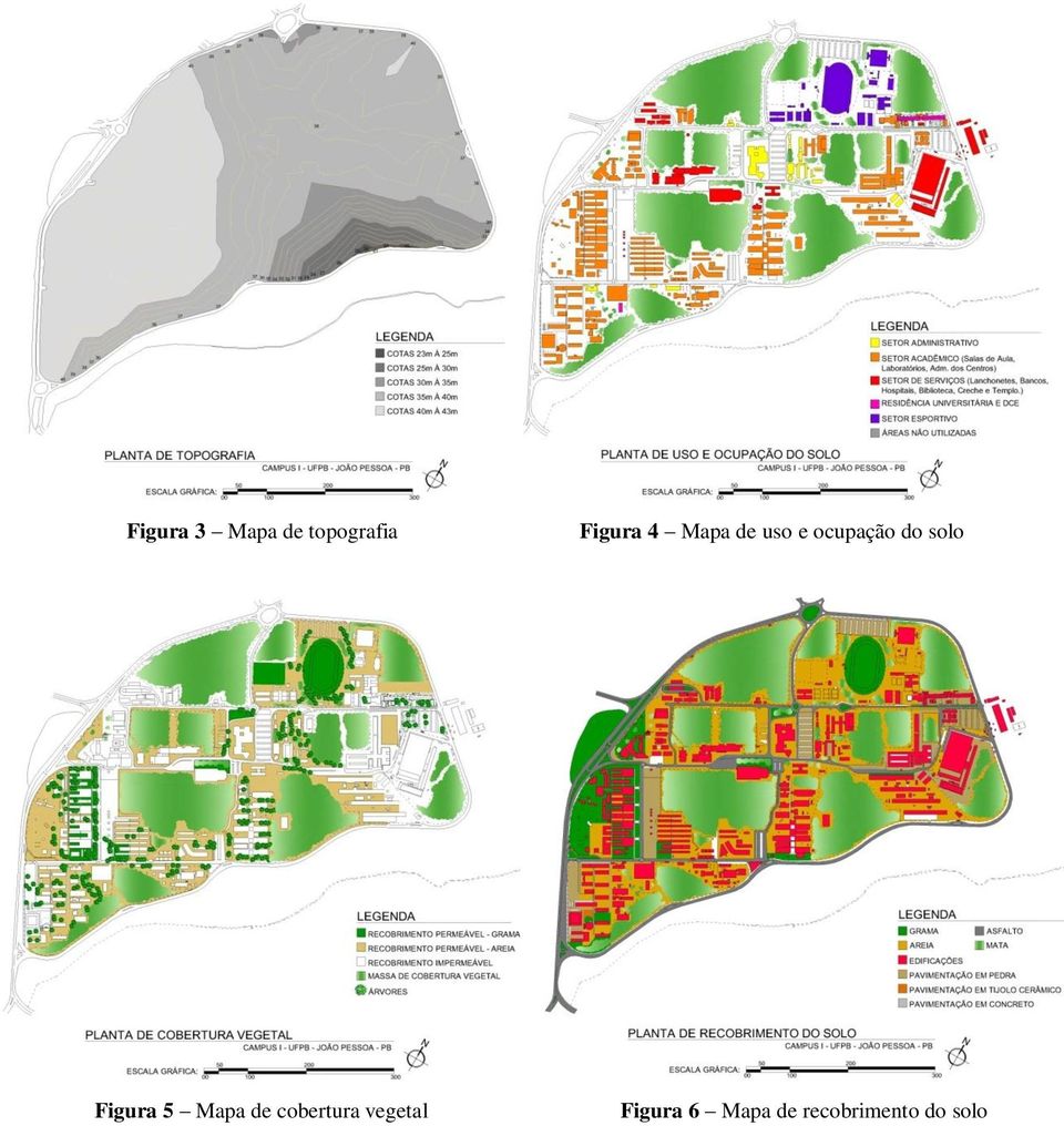 Figura 5 Mapa de cobertura vegetal