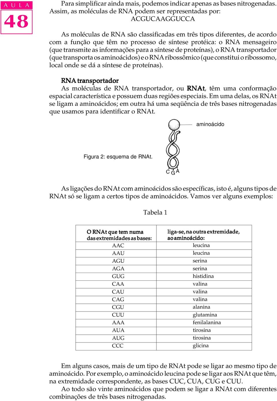 RNA mensageiro (que transmite as informações para a síntese de proteínas), o RNA transportador (que transporta os aminoácidos) e o RNA ribossômico (que constitui o ribossomo, local onde se dá a