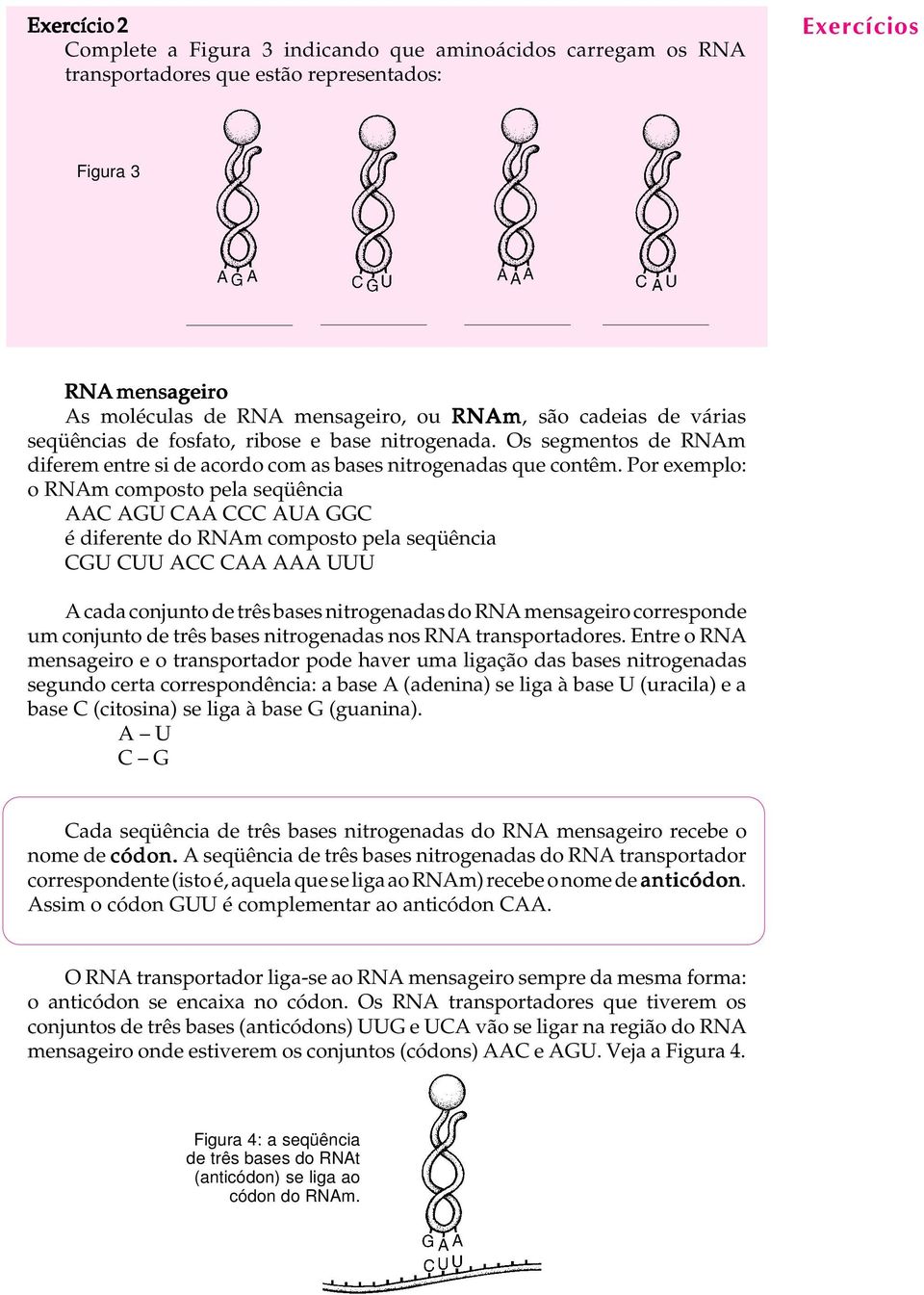 Por exemplo: o RNAm composto pela seqüência AAC AGU CAA CCC AUA GGC é diferente do RNAm composto pela seqüência CGU CUU ACC CAA AAA UUU A cada conjunto de três bases nitrogenadas do RNA mensageiro