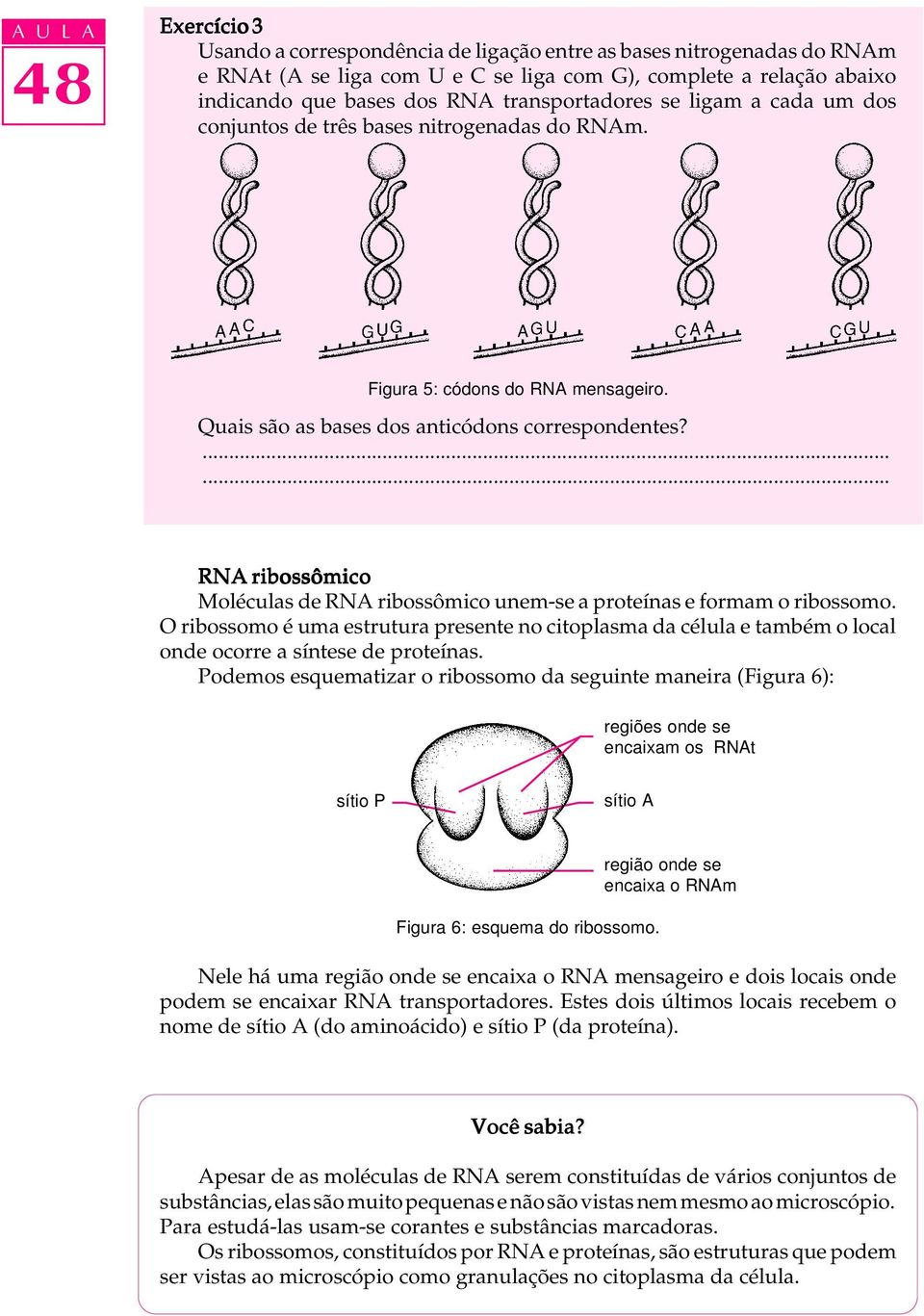 RNA ribossômico Moléculas de RNA ribossômico unem-se a proteínas e formam o ribossomo. O ribossomo é uma estrutura presente no citoplasma da célula e também o local onde ocorre a síntese de proteínas.