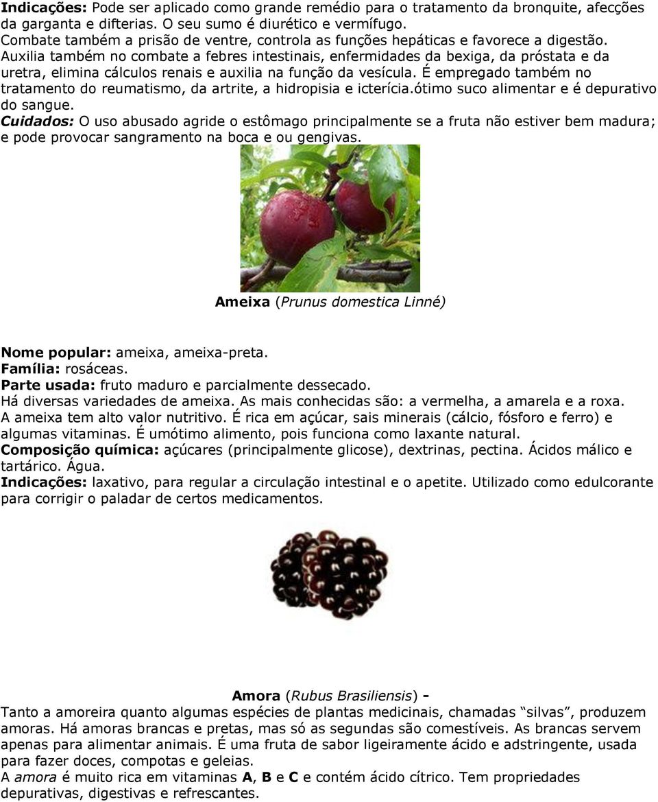 Auxilia também no combate a febres intestinais, enfermidades da bexiga, da próstata e da uretra, elimina cálculos renais e auxilia na função da vesícula.