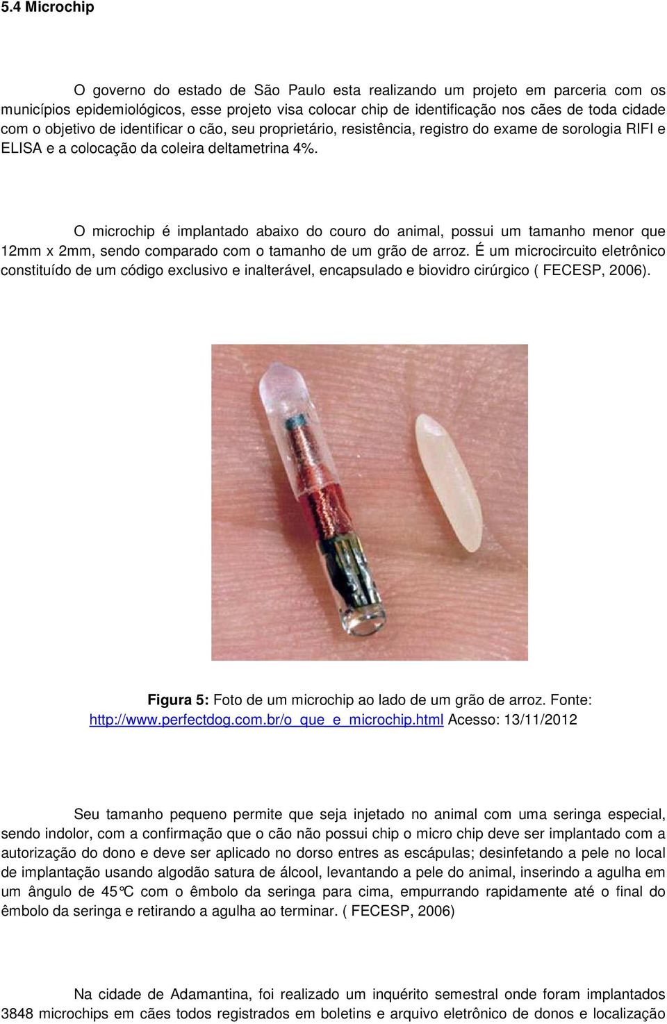 O microchip é implantado abaixo do couro do animal, possui um tamanho menor que 12mm x 2mm, sendo comparado com o tamanho de um grão de arroz.