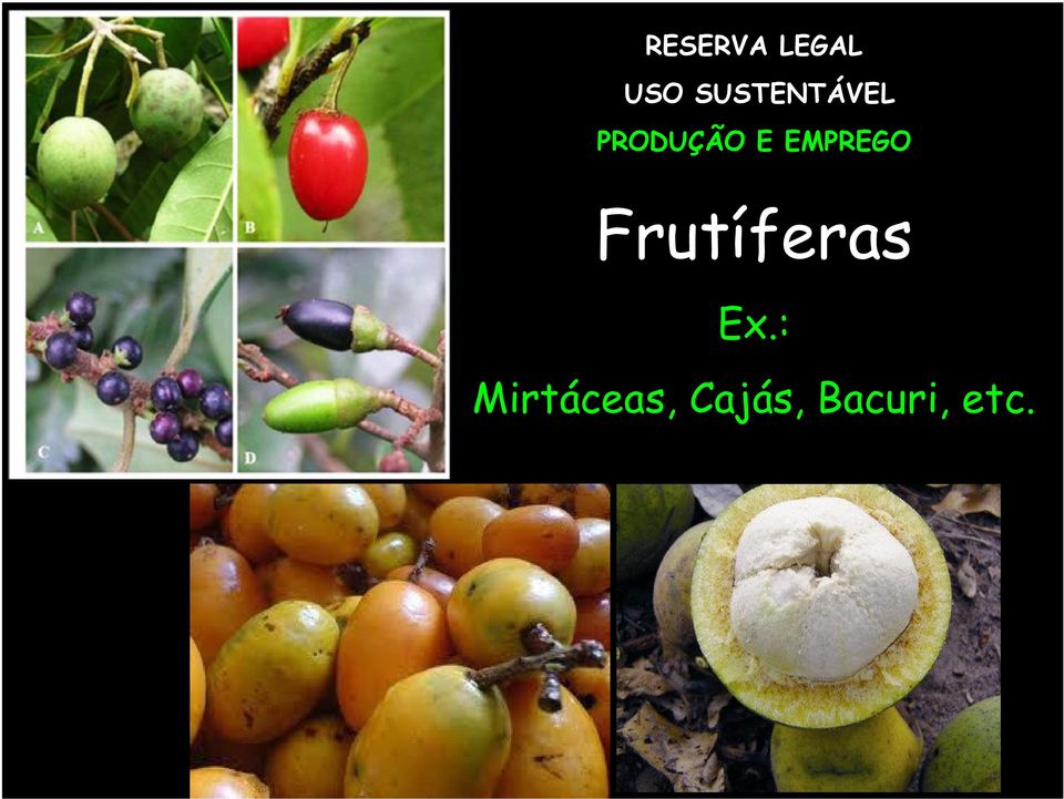 EMPREGO Frutíferas Ex.