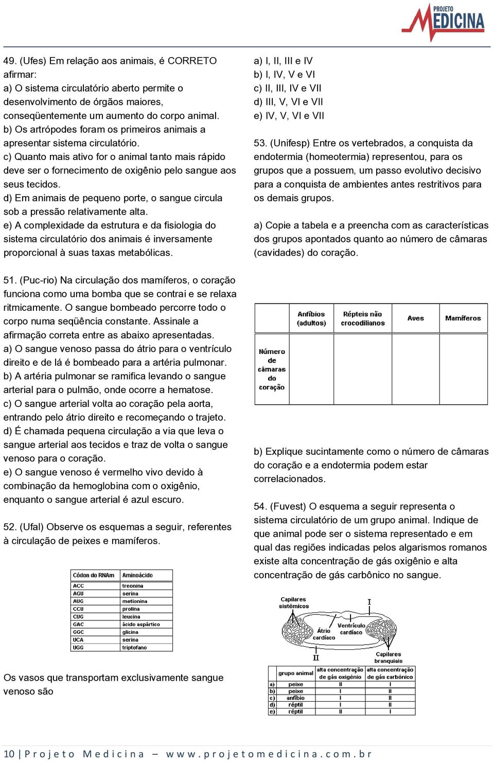 d) Em animais de pequeno porte, o sangue circula sob a pressão relativamente alta.