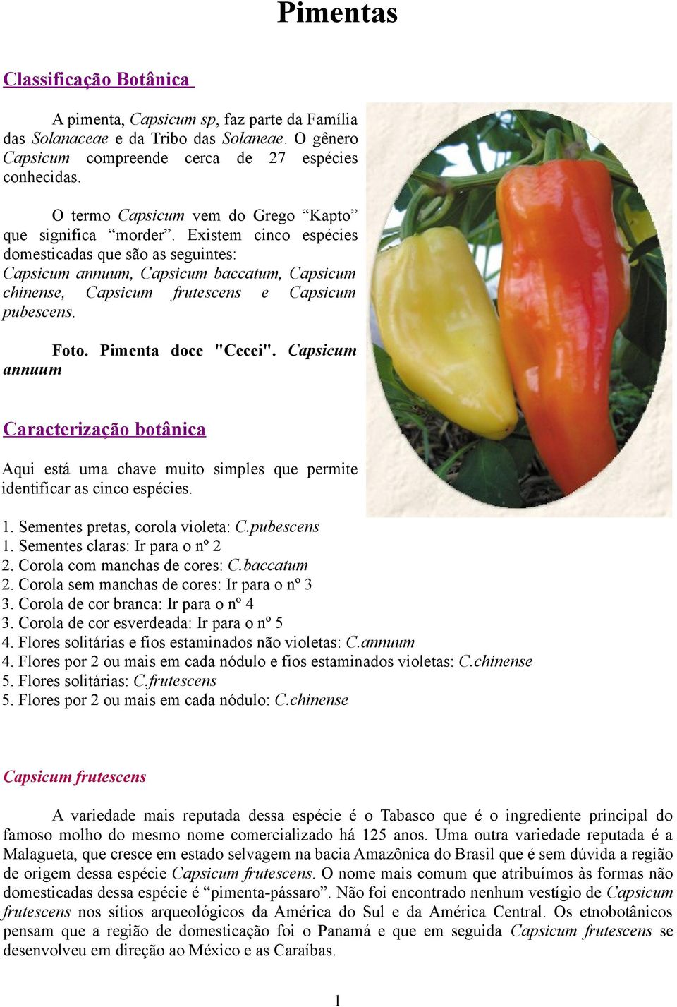 Existem cinco espécies domesticadas que são as seguintes: Capsicum annuum, Capsicum baccatum, Capsicum chinense, Capsicum frutescens e Capsicum pubescens. Foto. Pimenta doce "Cecei".