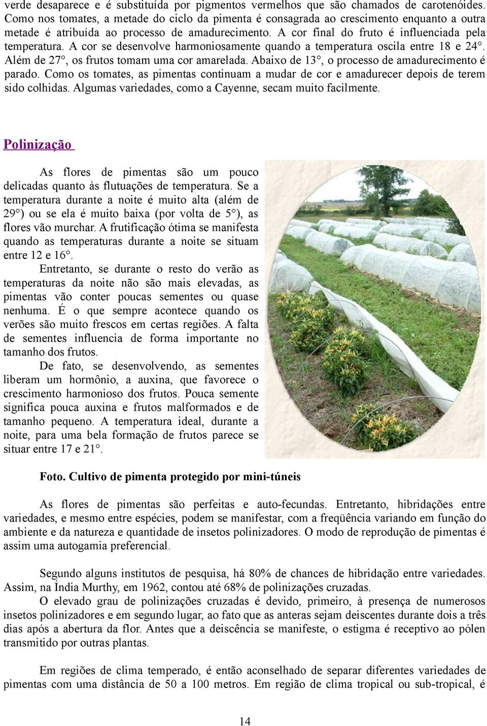 A cor se desenvolve harmoniosamente quando a temperatura oscila entre 18 e 24. Além de 27, os frutos tomam uma cor amarelada. Abaixo de 13, o processo de amadurecimento é parado.