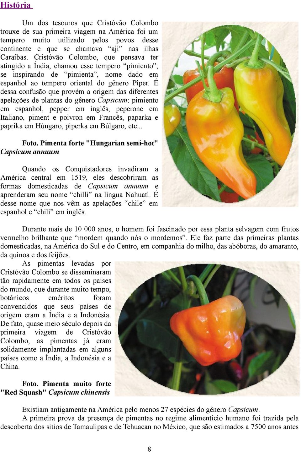É dessa confusão que provém a origem das diferentes apelações de plantas do gênero Capsicum: pimiento em espanhol, pepper em inglês, peperone em Italiano, piment e poivron em Francês, paparka e