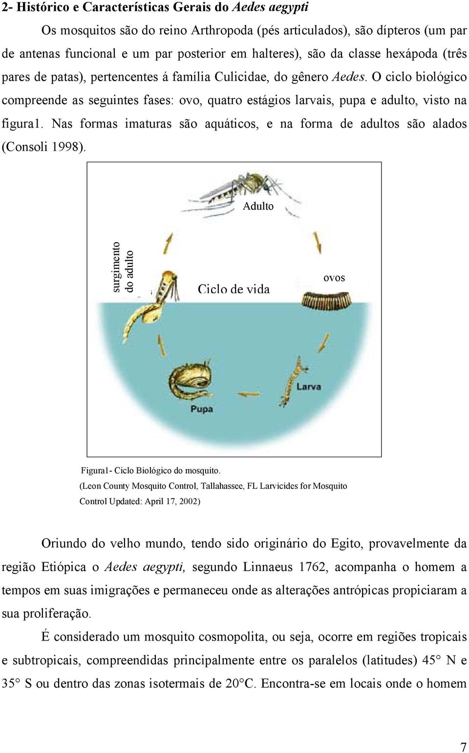 Nas formas imaturas são aquáticos, e na forma de adultos são alados (Consoli 1998). Adulto surgimento do adulto Ciclo de vida ovos Figura1- Ciclo Biológico do mosquito.