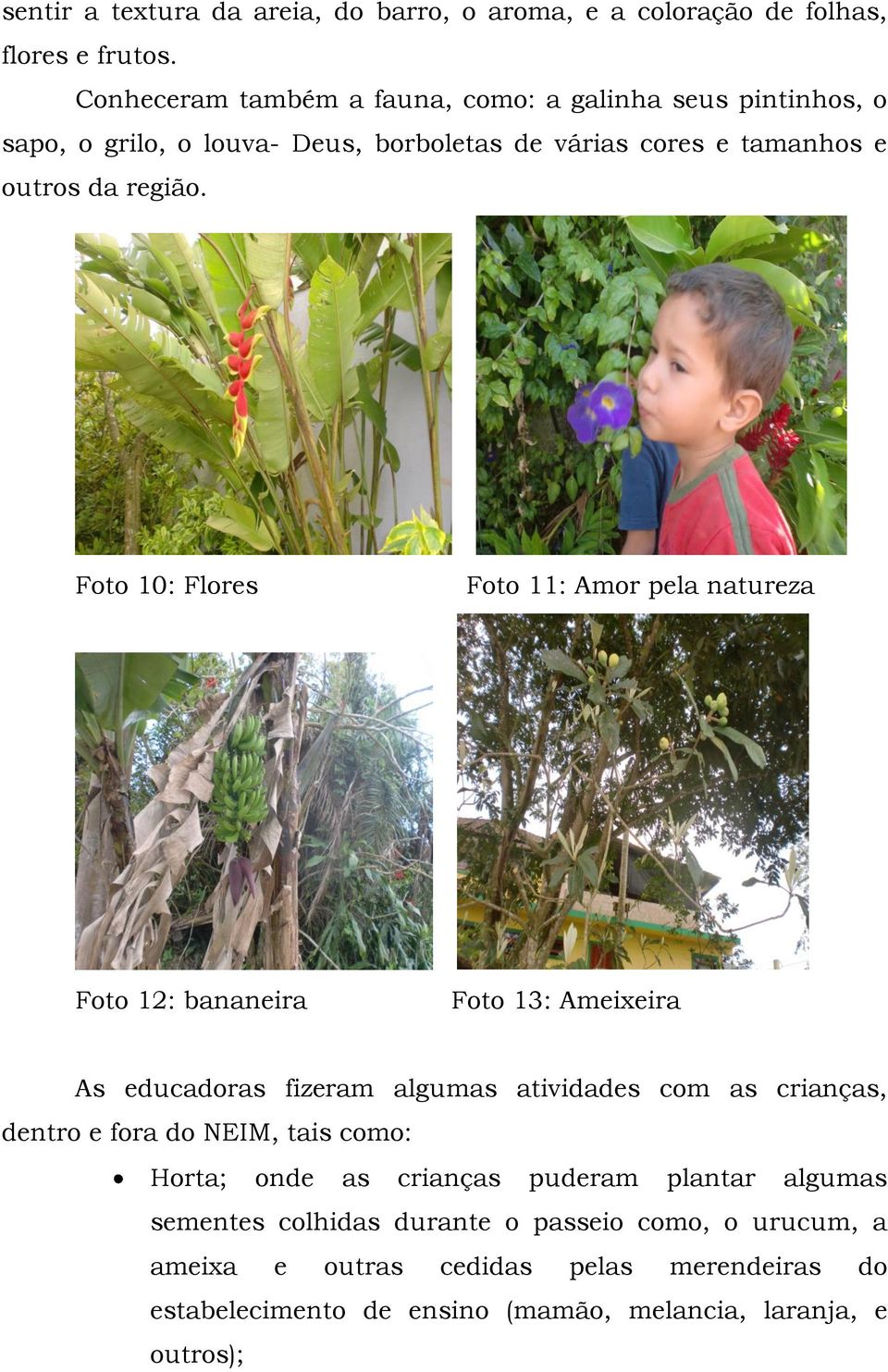 Foto 10: Flores Foto 11: Amor pela natureza Foto 12: bananeira Foto 13: Ameixeira As educadoras fizeram algumas atividades com as crianças, dentro e fora