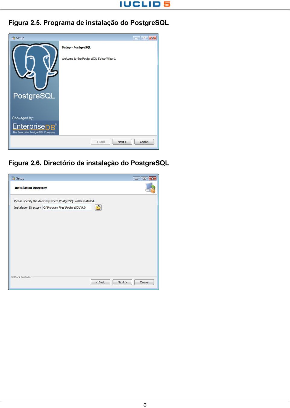 PostgreSQL Figura 2.6.