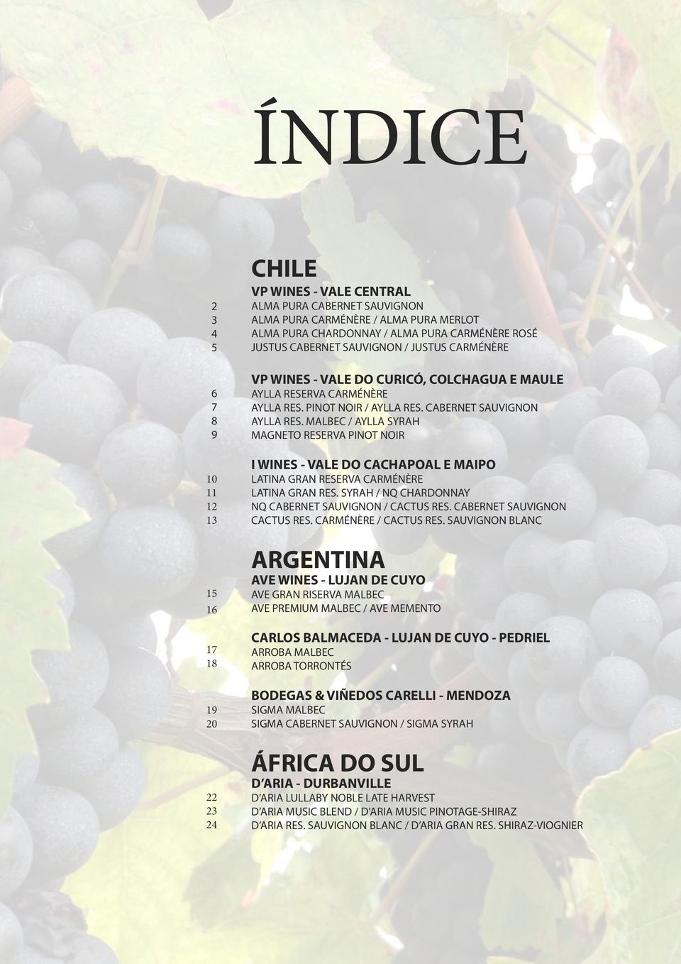 MALBEC / AYLLA SYRAH MAGNETO RESERVA PINOT NOIR I WINES - VALE DO CACHAPOAL E MAIPO LATINA GRAN RESERVA CARMÉNÈRE LATINA GRAN RES. SYRAH / NQ CHARDONNAY NQ CABERNET SAUVIGNON / CACTUS RES.