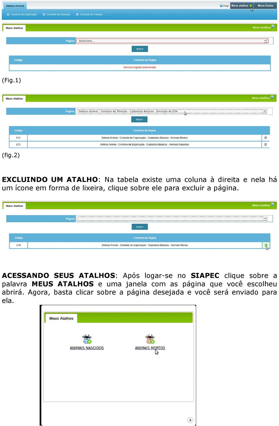 de lixeira, clique sobre ele para excluir a página.