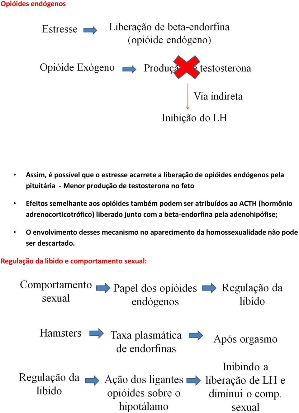 (hormônio adrenocorticotrófico) liberado junto com a beta-endorfina pela adenohipófise; O envolvimento desses